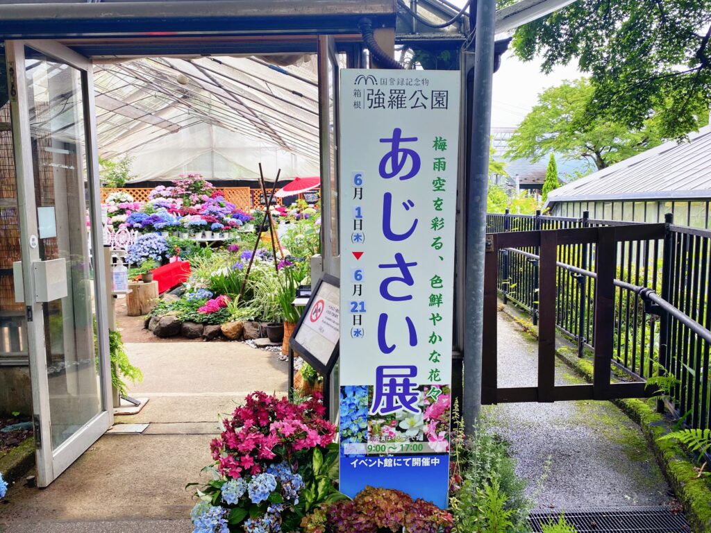 箱根強羅公園のあじさい展