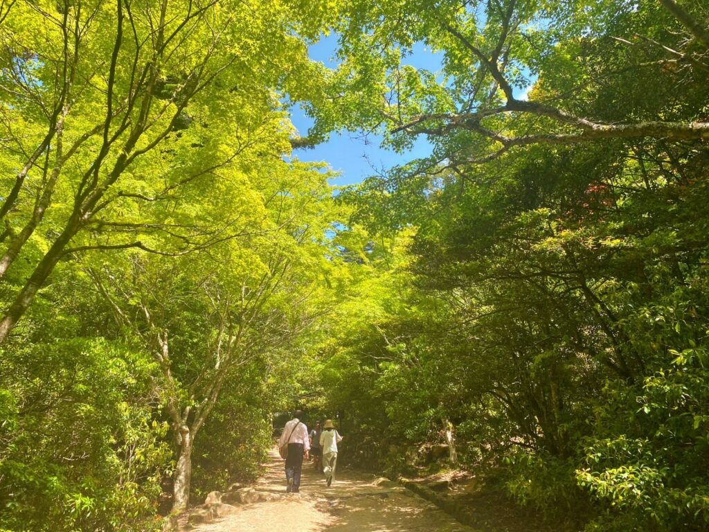 紅葉谷公園