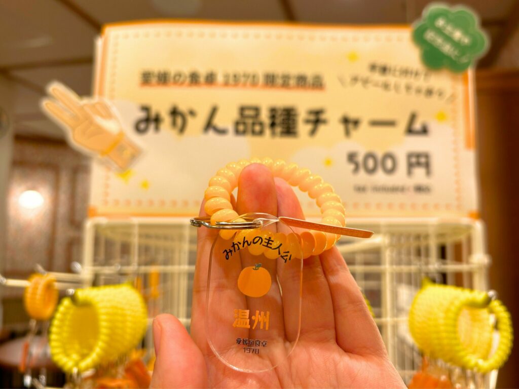 愛媛の食卓1970