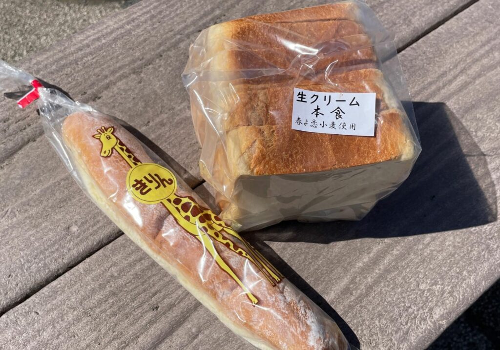 斜里シャンボール２
