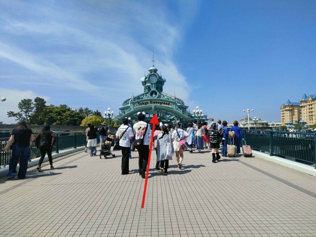 TDR6
