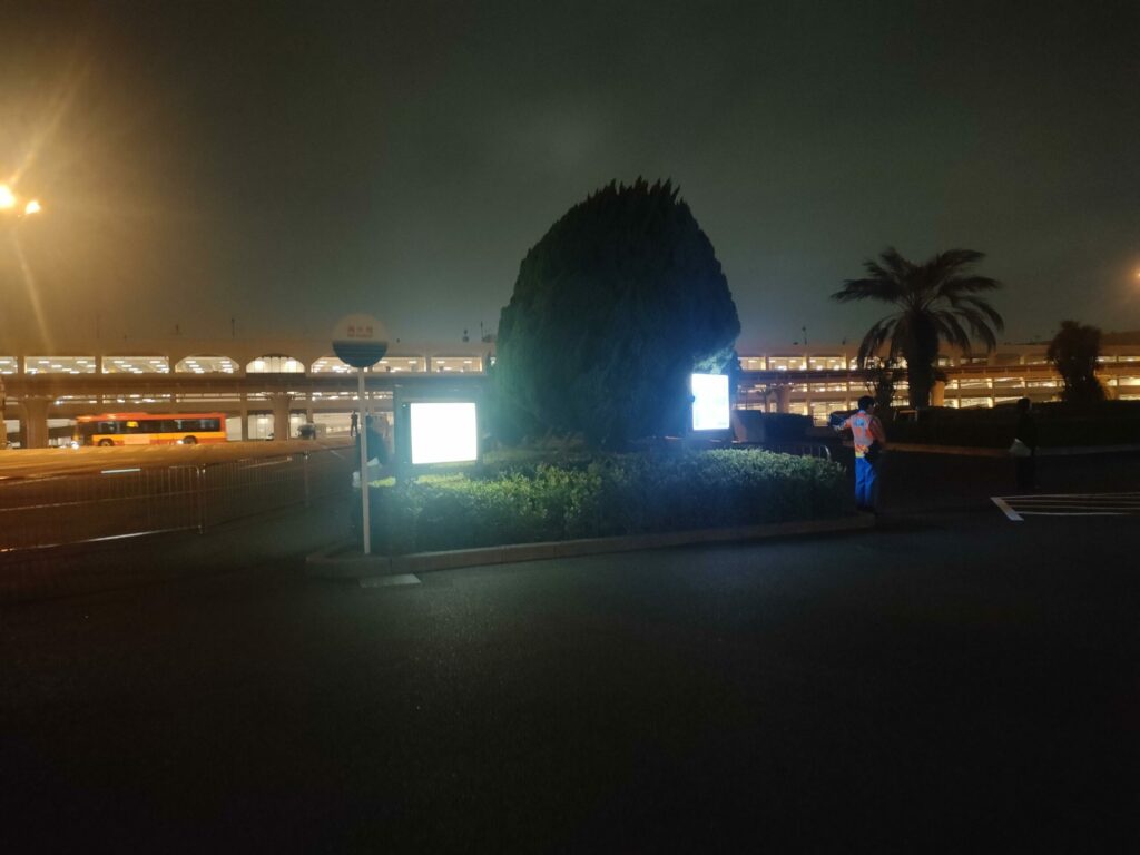ディズニーランド夜