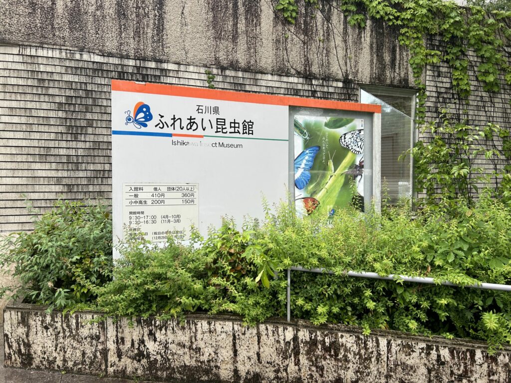 昆虫館