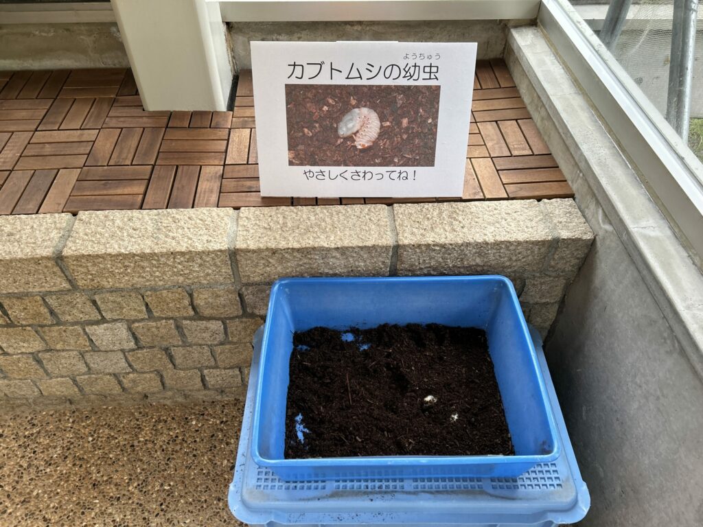 昆虫館