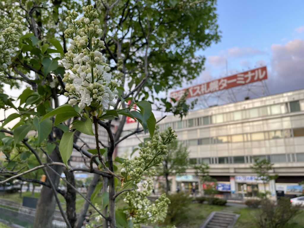 中央バスターミナルとライラック
