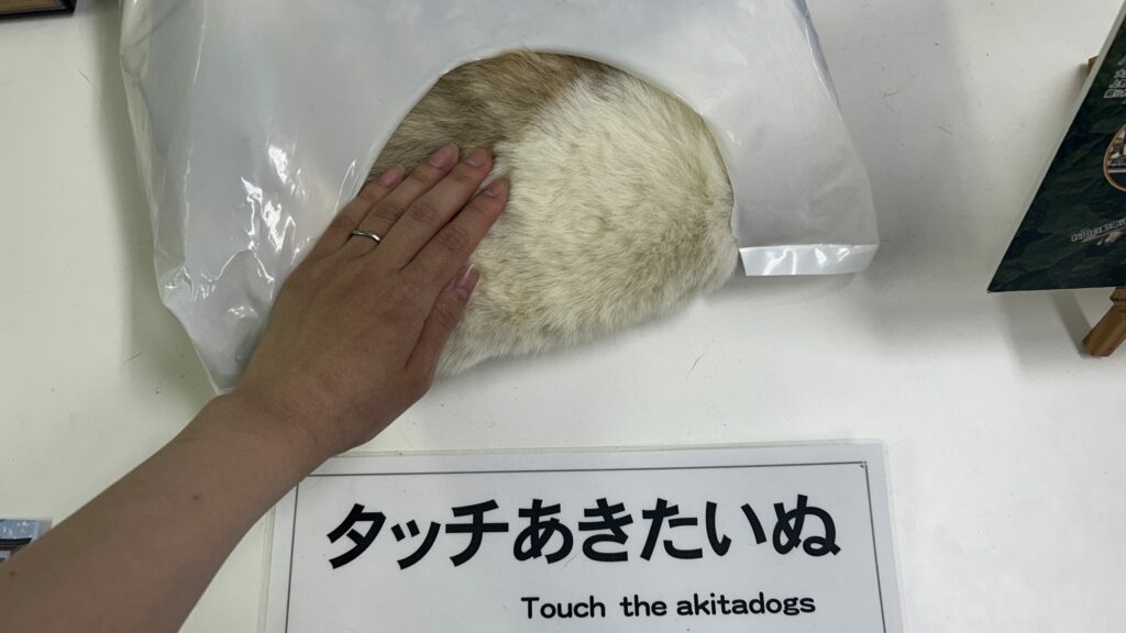 秋田犬会館