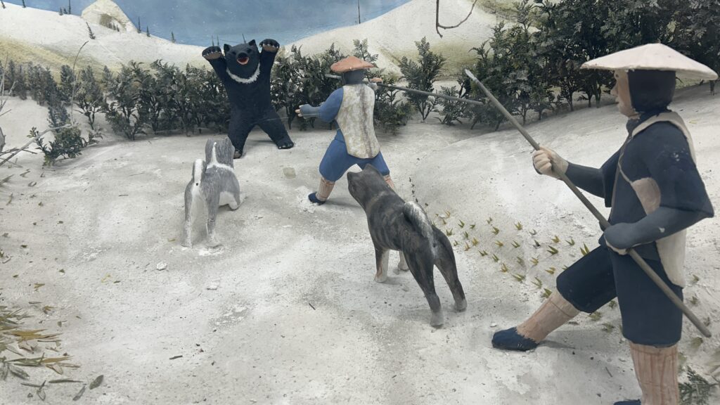 秋田犬