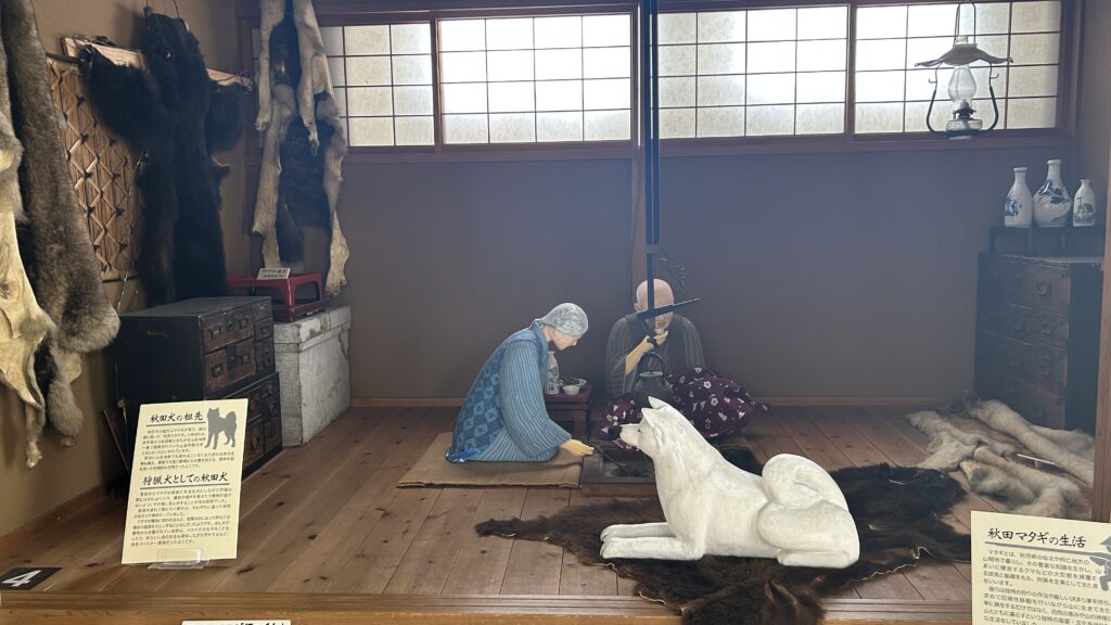 秋田犬会館