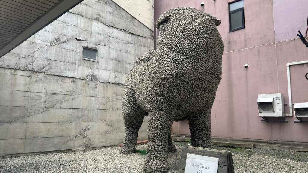 デッカい秋田犬