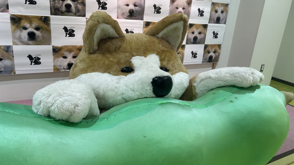 秋田犬