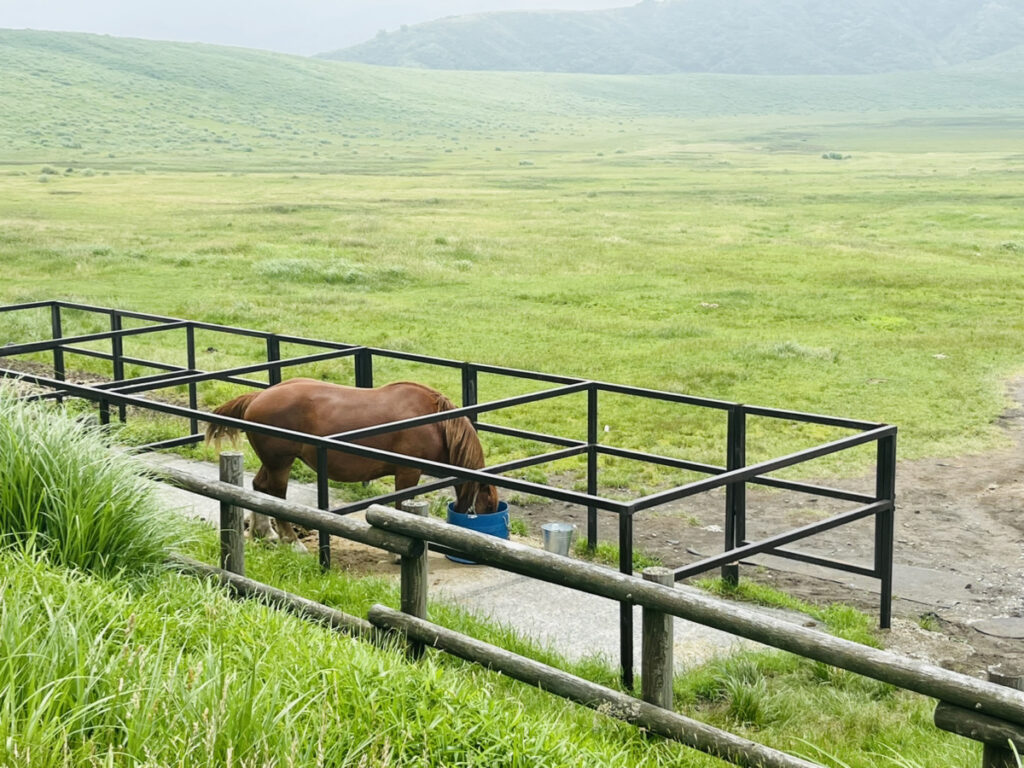 草千里