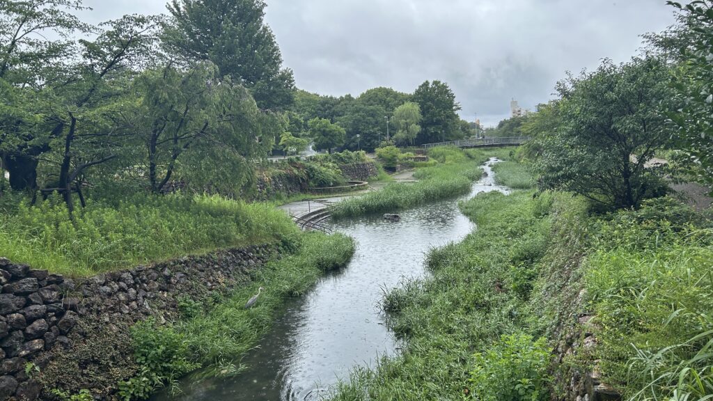 清水緑水池